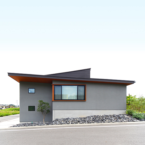 TkN-HAUS スキップフロア 東郷町